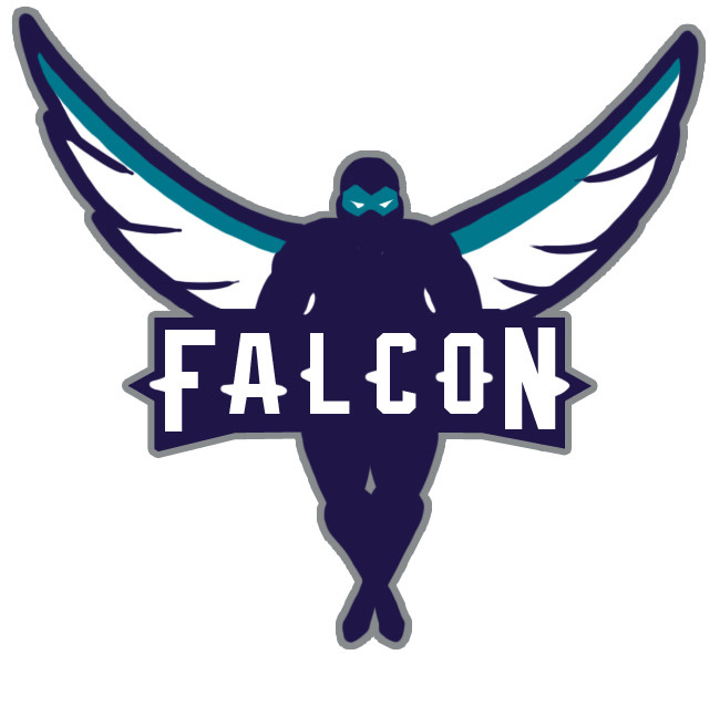 Charlotte Hornets Falcon logo fabric transfer